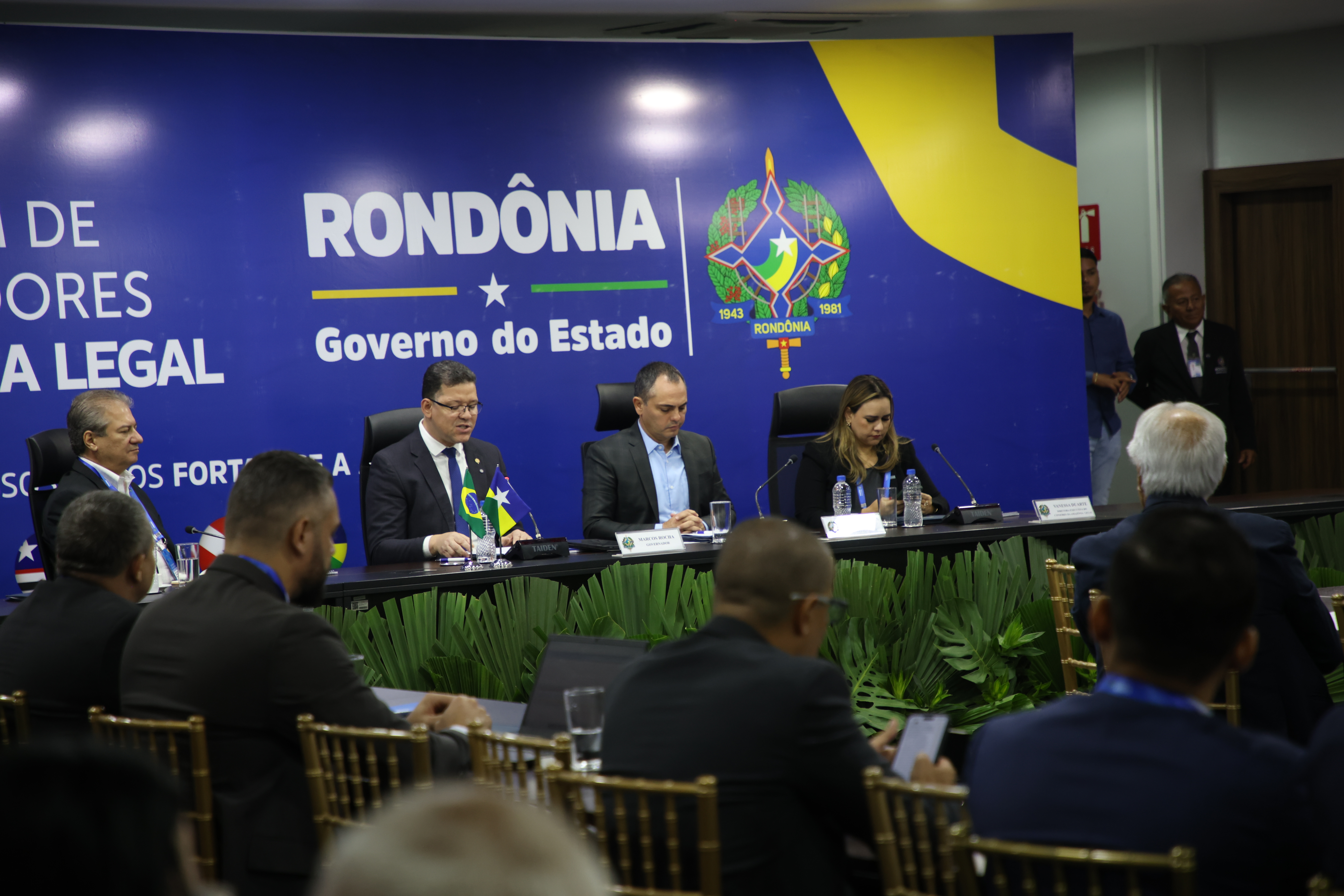 Imagem 3